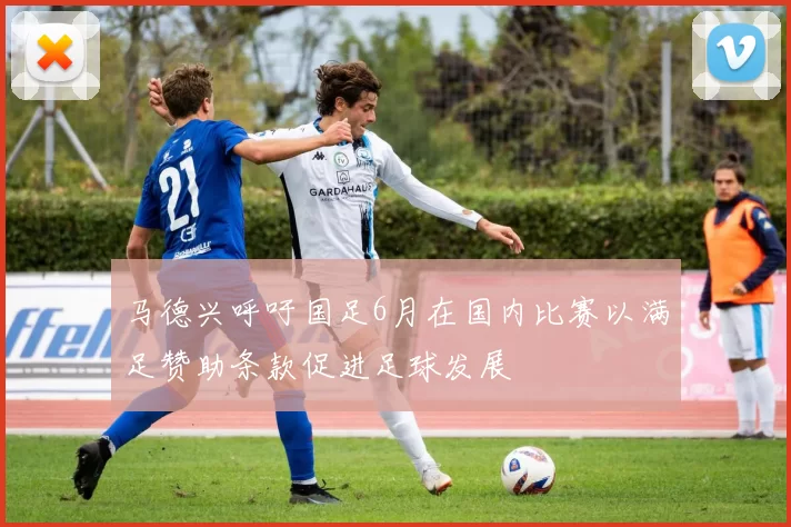 马德兴呼吁国足6月在国内比赛以满足赞助条款促进足球发展