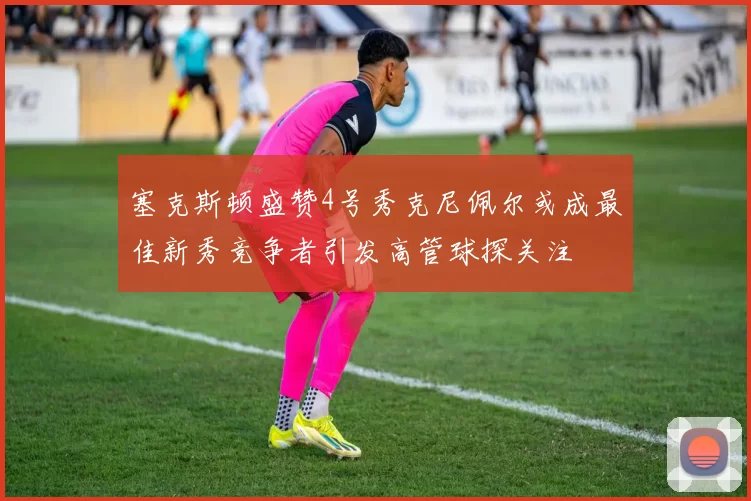 塞克斯顿盛赞4号秀克尼佩尔或成最佳新秀竞争者引发高管球探关注
